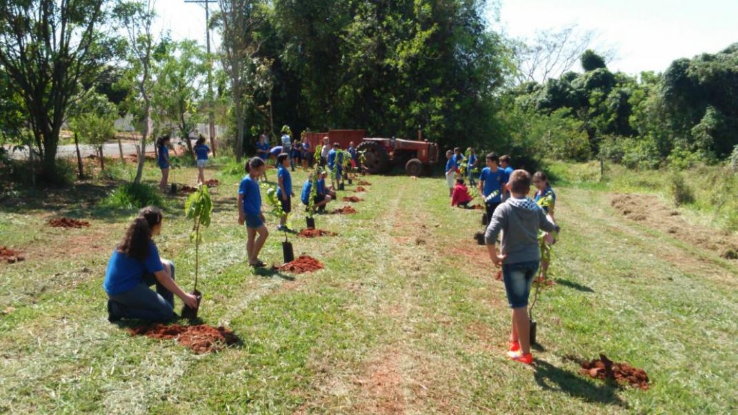 Programa município Verde Azul 